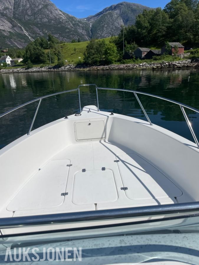 1995 Wellcraft 24 båt med  Yamaha 4,2 L 225 hk