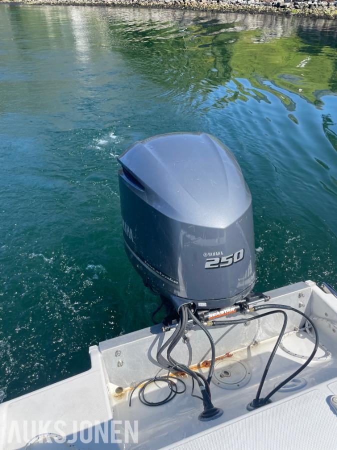 1995 Wellcraft 24 båt med  Yamaha 4,2 L 225 hk