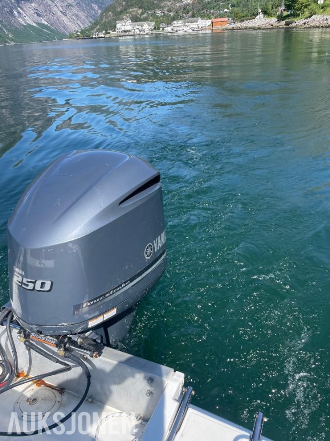 1995 Wellcraft 24 båt med  Yamaha 4,2 L 225 hk