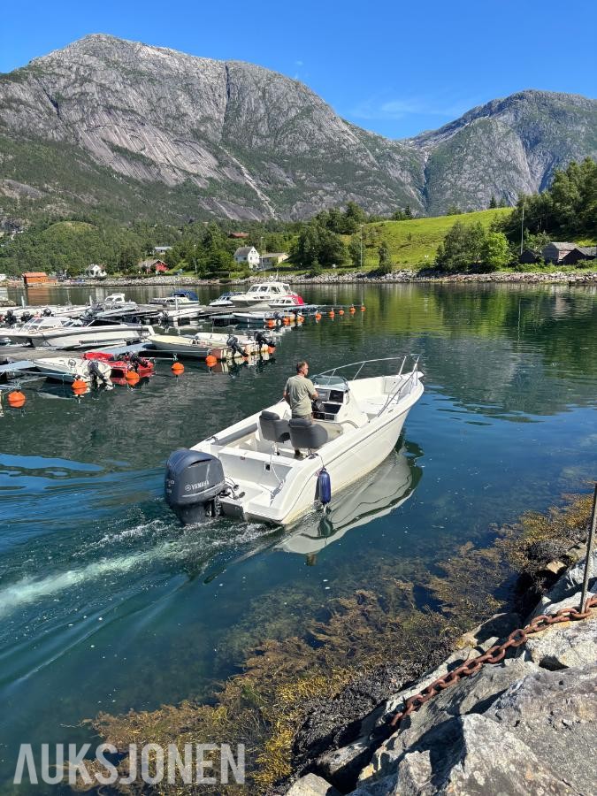 1995 Wellcraft 24 båt med  Yamaha 4,2 L 225 hk