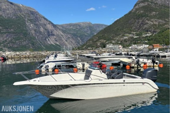1995 Wellcraft 24 båt med  Yamaha 4,2 L 225 hk