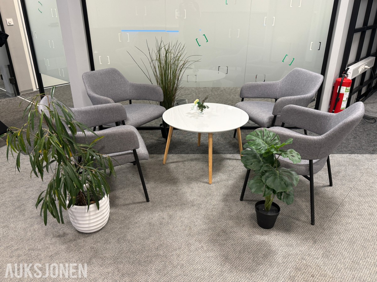 Sittegruppe med stoler, bord og planter 
