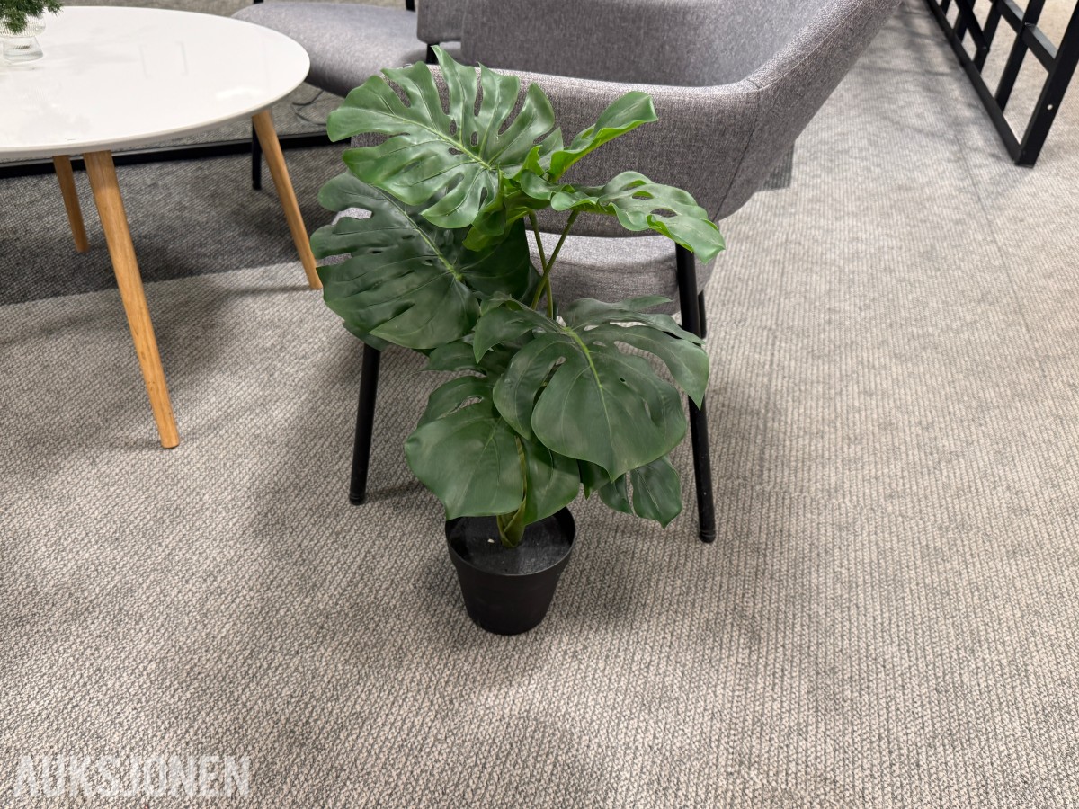 Sittegruppe med stoler, bord og planter 