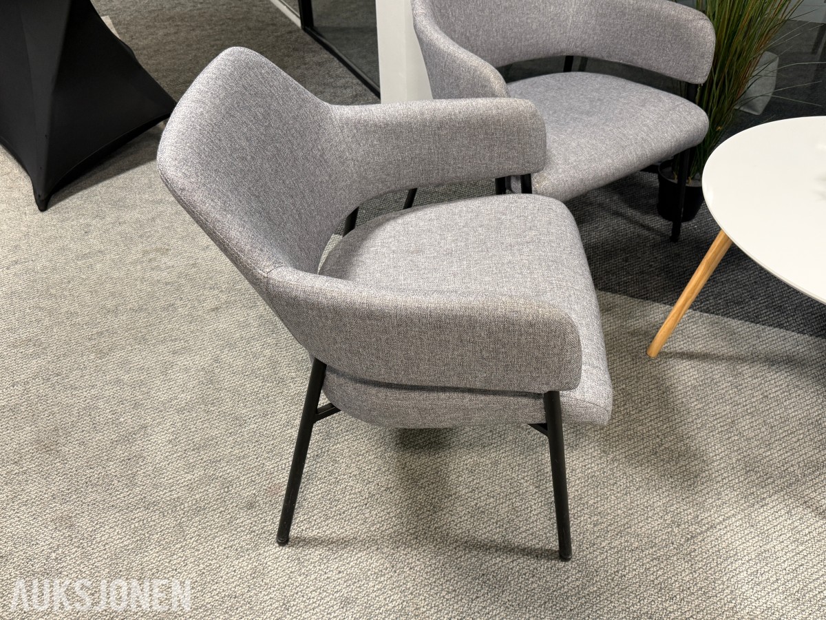 Sittegruppe med stoler, bord og planter 