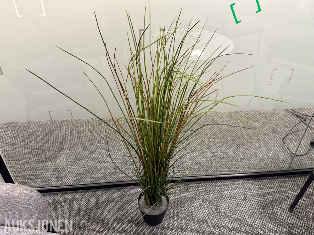 Sittegruppe med stoler, bord og planter 