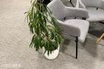 Sittegruppe med stoler, bord og planter 