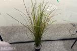 Sittegruppe med stoler, bord og planter 