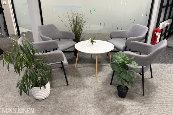 Sittegruppe med stoler, bord og planter 