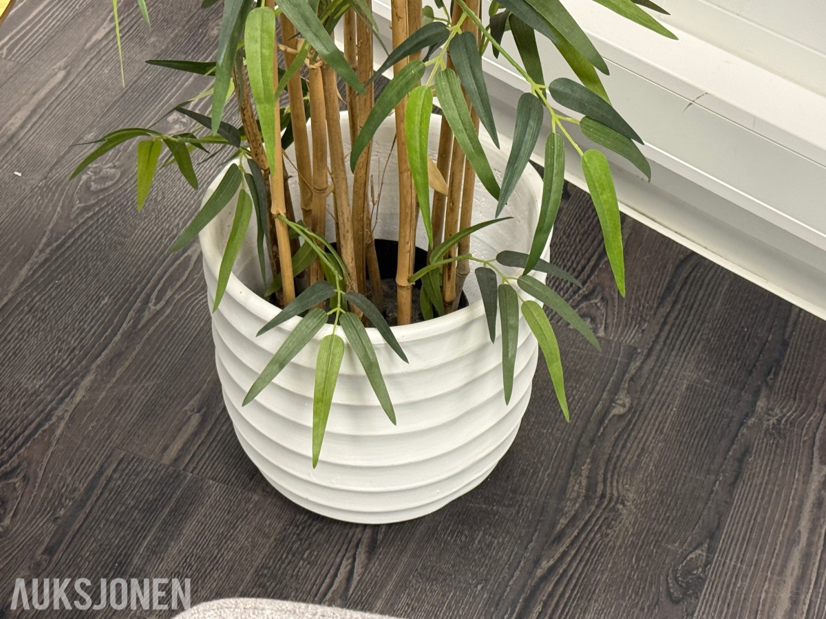 Rundt bord med 4 stoler og plante