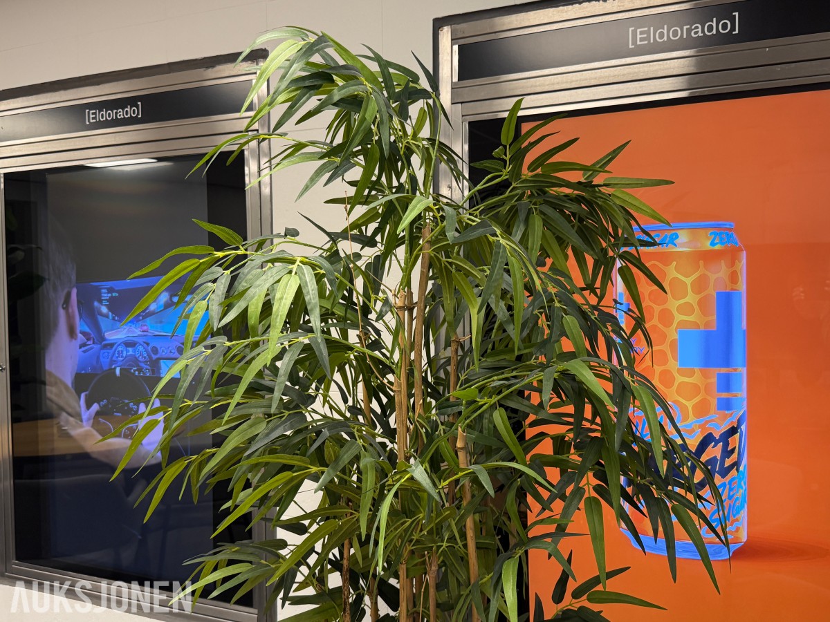 Rundt bord med 4 stoler og plante