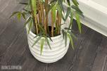Rundt bord med 4 stoler og plante