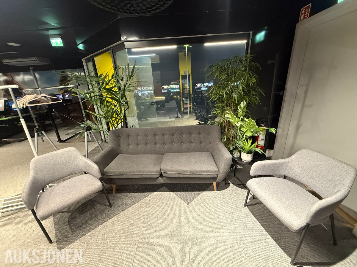 Sofagruppe med 3-seter og 2 lenestoler + klesstativ + planter