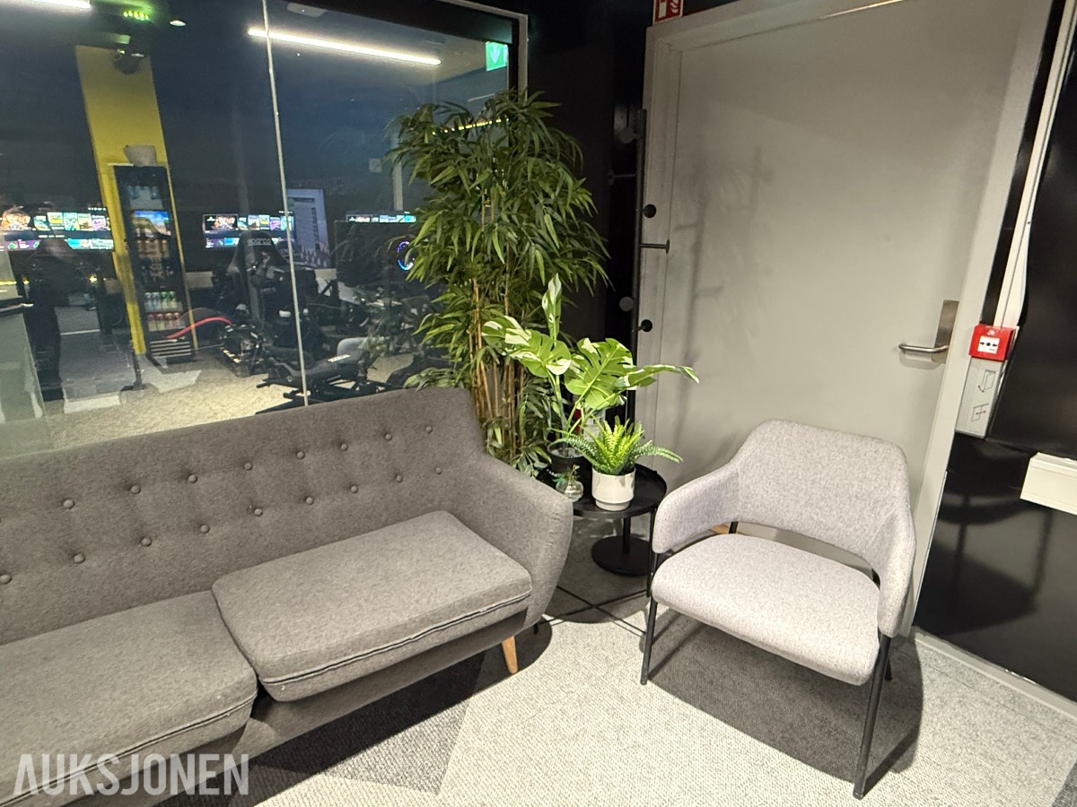 Sofagruppe med 3-seter og 2 lenestoler + klesstativ + planter