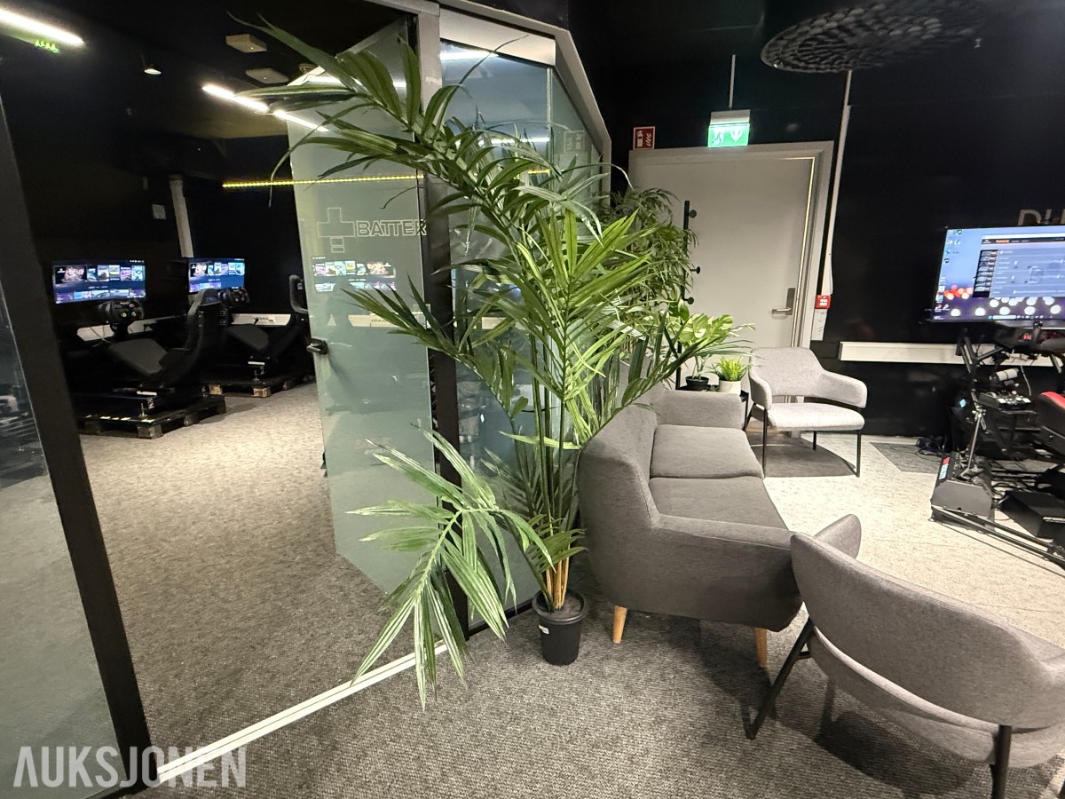Sofagruppe med 3-seter og 2 lenestoler + klesstativ + planter