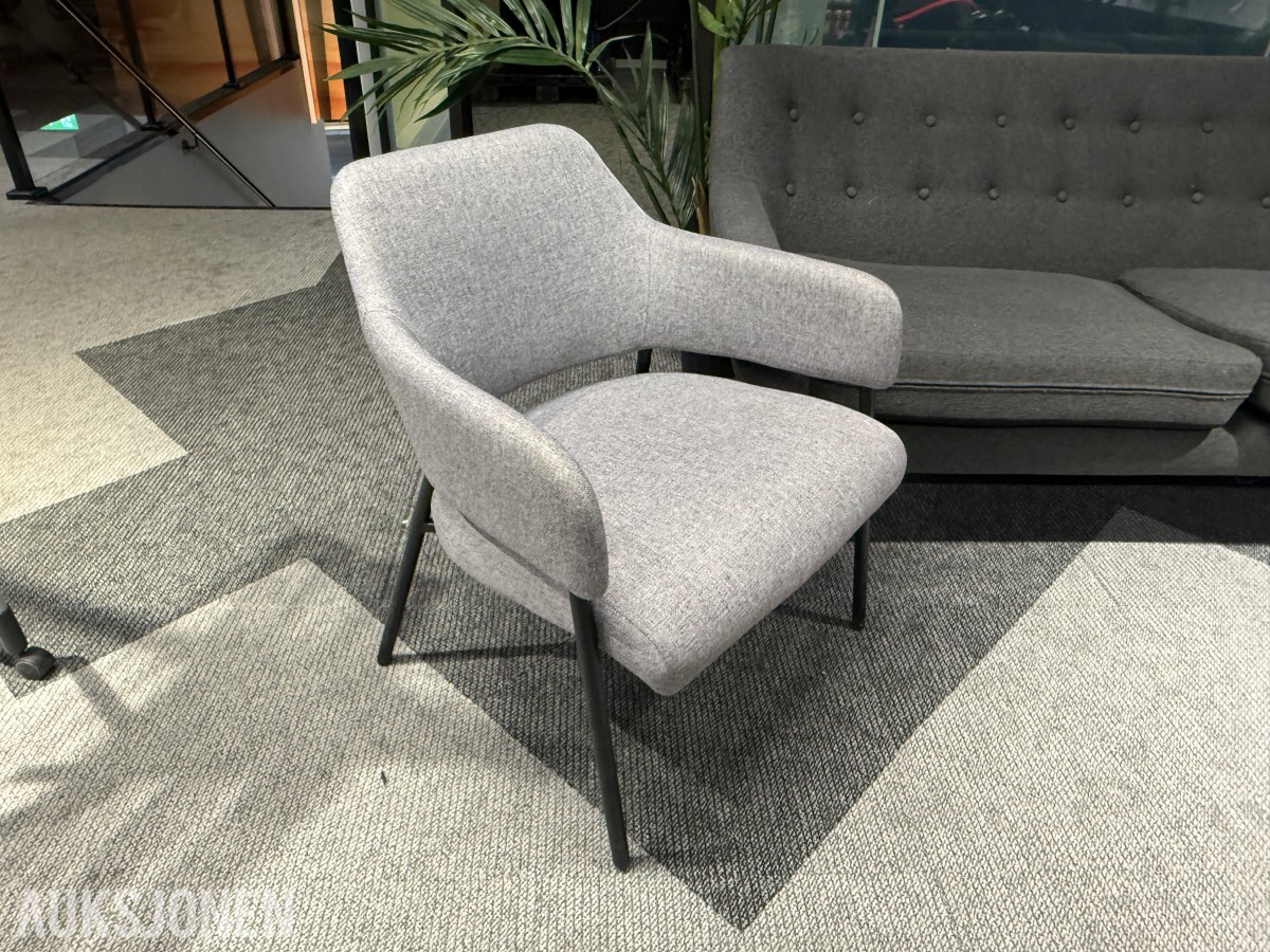 Sofagruppe med 3-seter og 2 lenestoler + klesstativ + planter