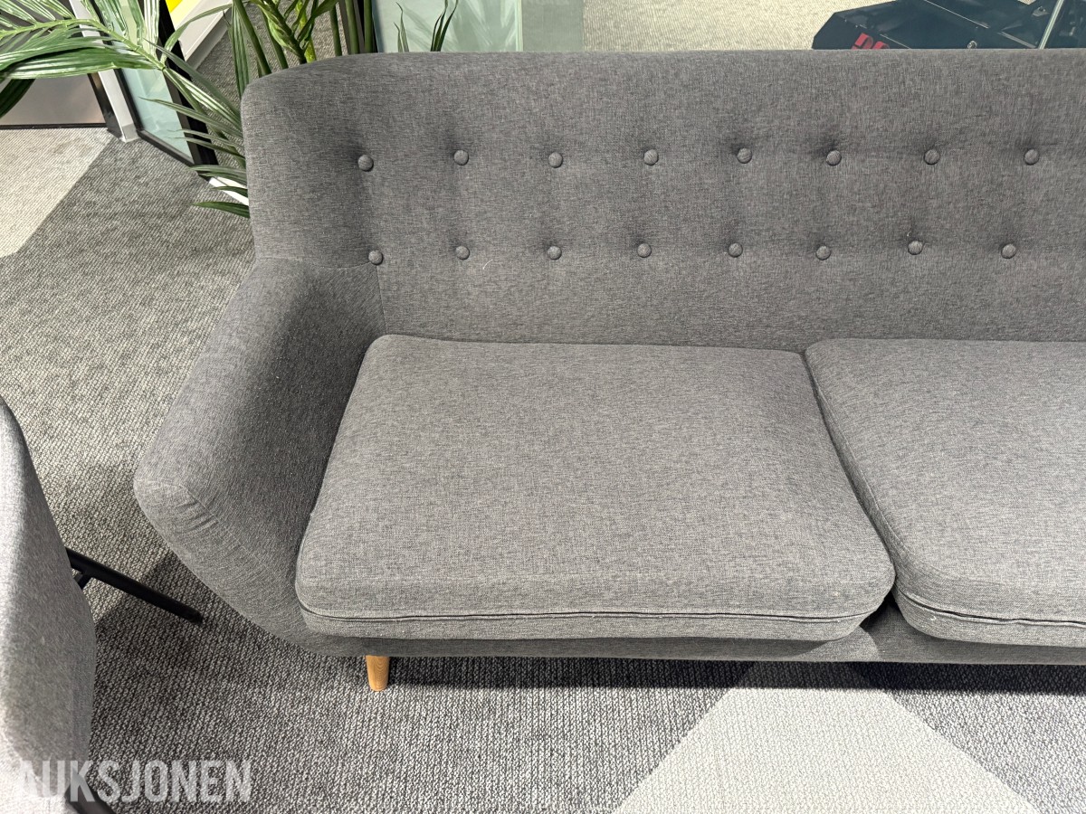 Sofagruppe med 3-seter og 2 lenestoler + klesstativ + planter