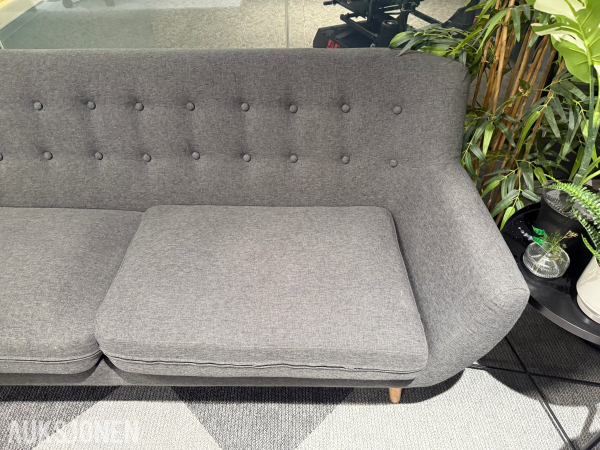 Sofagruppe med 3-seter og 2 lenestoler + klesstativ + planter