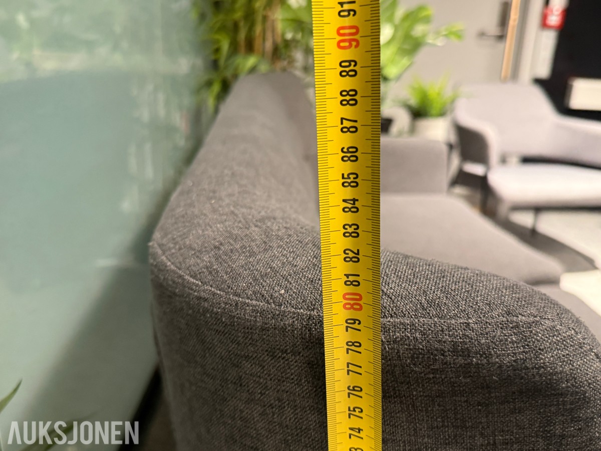 Sofagruppe med 3-seter og 2 lenestoler + klesstativ + planter