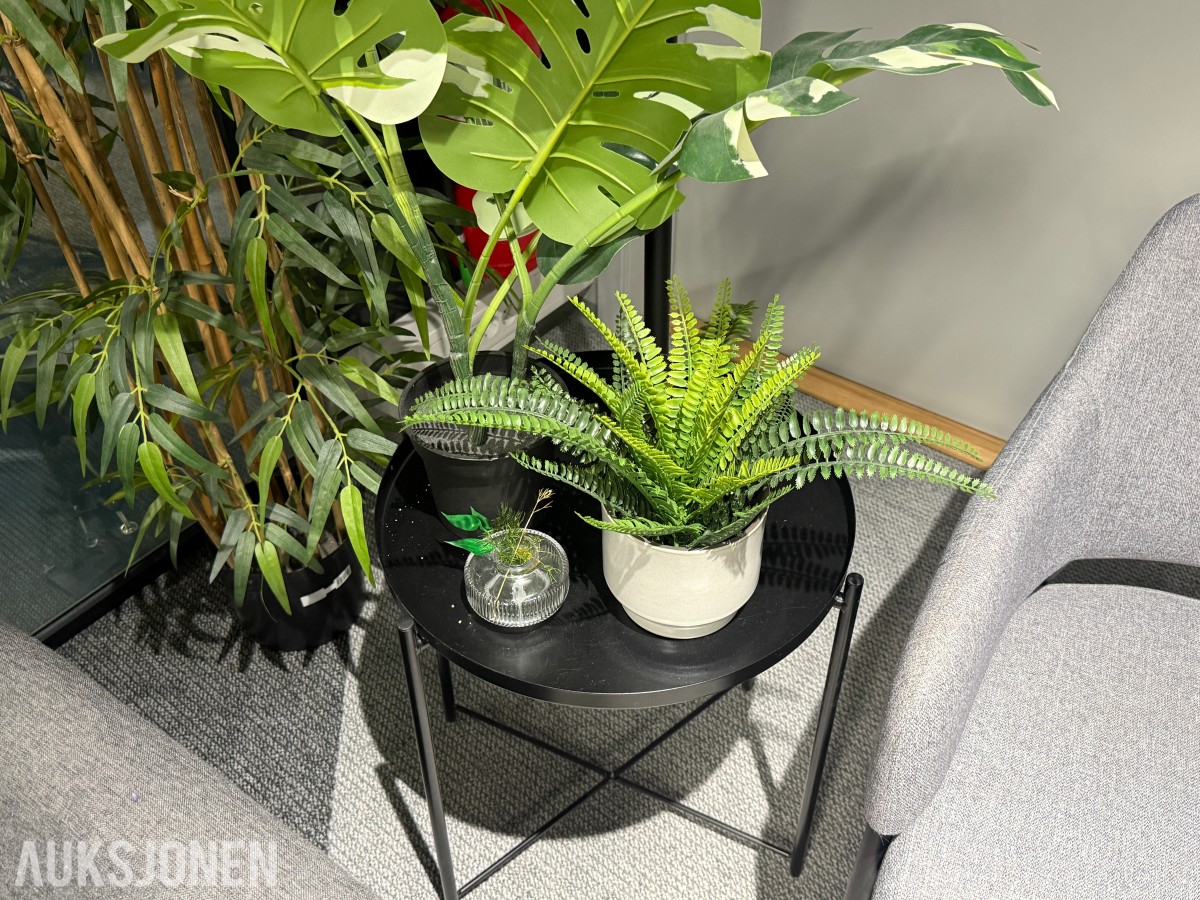 Sofagruppe med 3-seter og 2 lenestoler + klesstativ + planter
