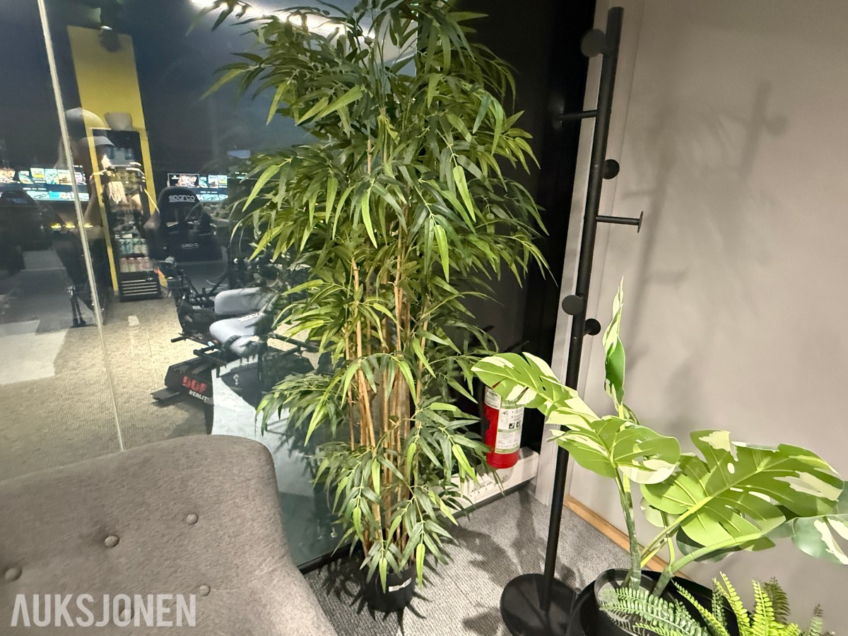 Sofagruppe med 3-seter og 2 lenestoler + klesstativ + planter