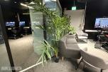 Sofagruppe med 3-seter og 2 lenestoler + klesstativ + planter