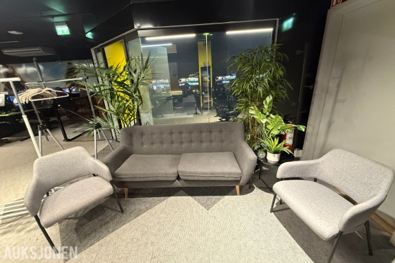 Sofagruppe med 3-seter og 2 lenestoler + klesstativ + planter
