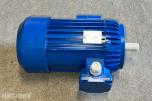 Cantoni industrimotor / elmotor – ubrukt