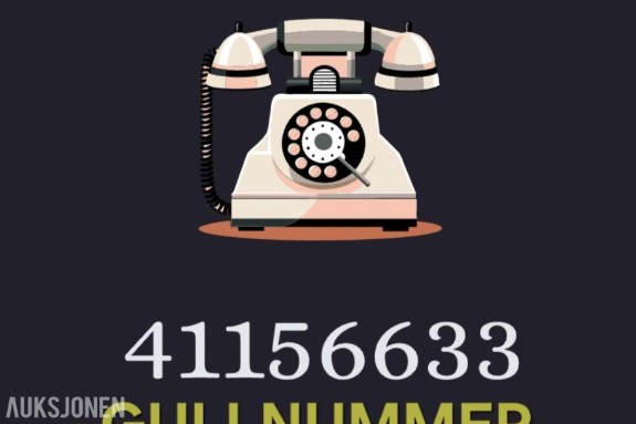 Enkelt nummer: 41156633