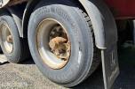 2007 Leci-trailer Skaptralle/semitralle.