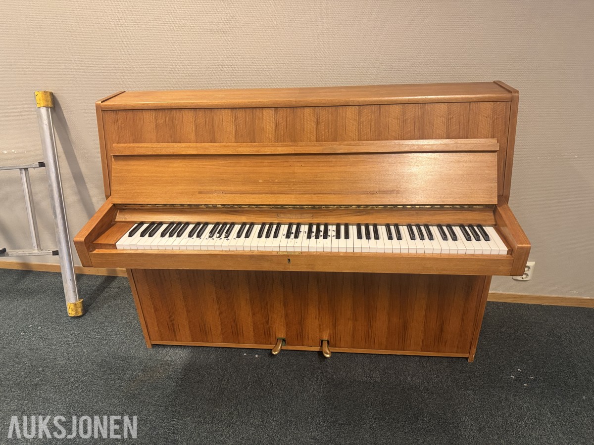 Rippen Piano