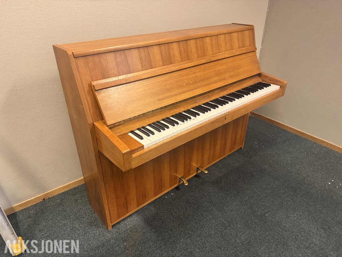 Rippen Piano