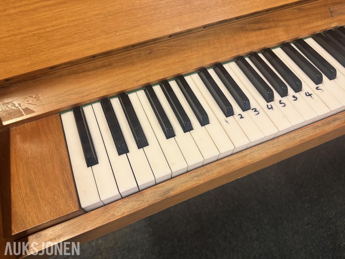 Rippen Piano