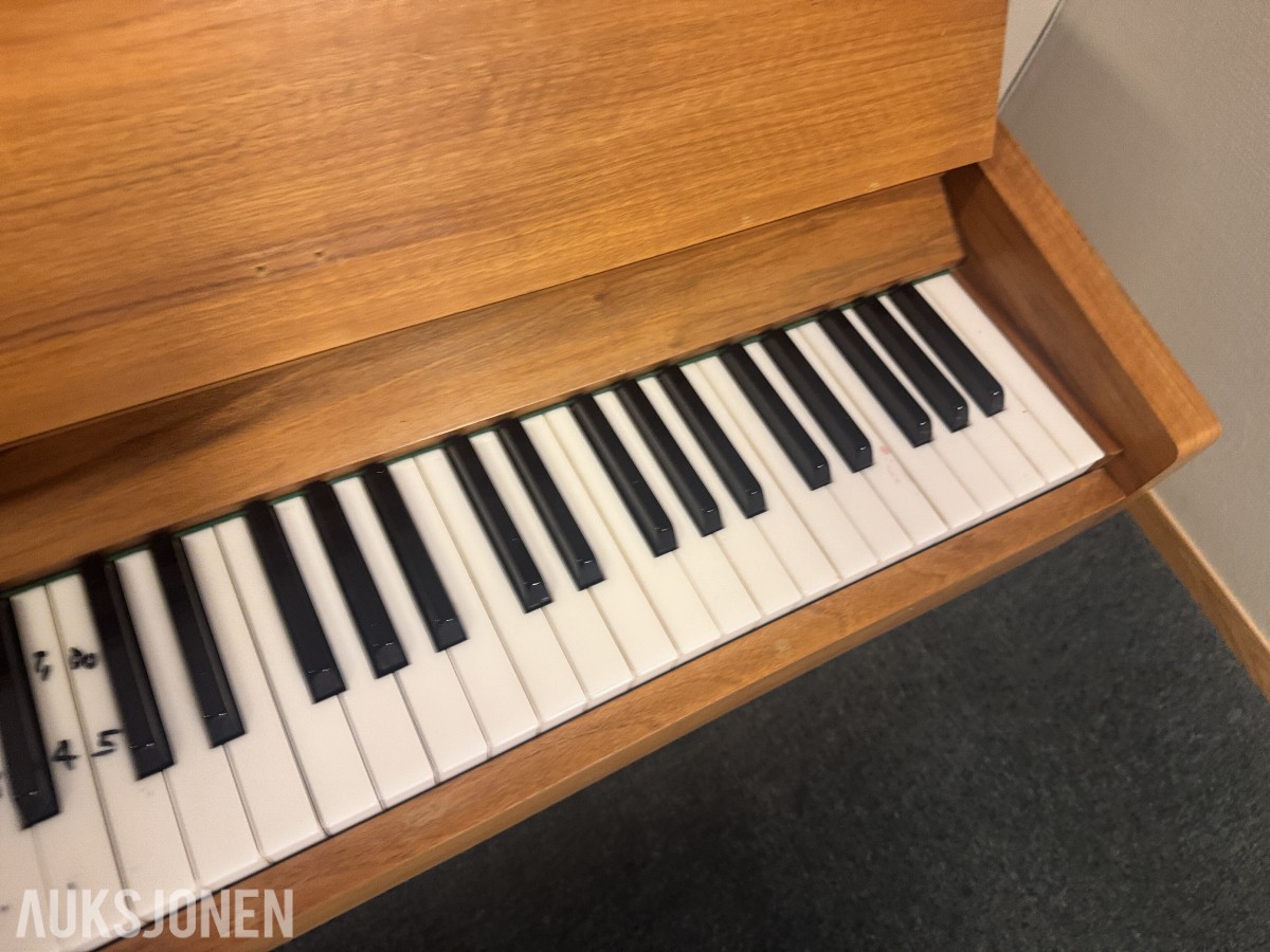 Rippen Piano