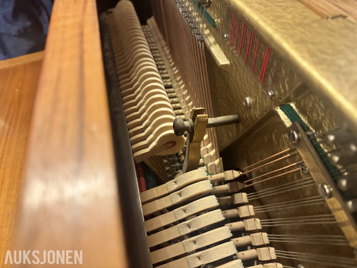 Rippen Piano