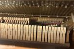 Rippen Piano