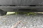 2009 Citroen BERLINGO - 72 timers auksjon
