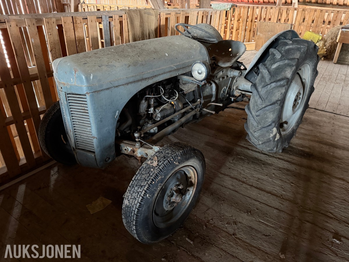 1952 Ferguson TE20 / Gråtass