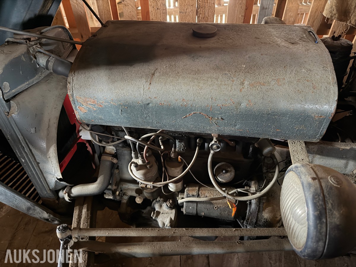 1952 Ferguson TE20 / Gråtass