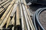 Staur/Trestaker ca 150cm - 2 bunter