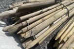 Staur/Trestaker ca 150cm - 2 bunter