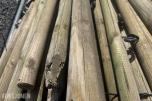 Staur/Trestaker ca 150cm - 2 bunter