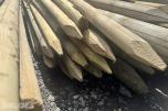 Staur/Trestaker ca 150cm - 2 bunter