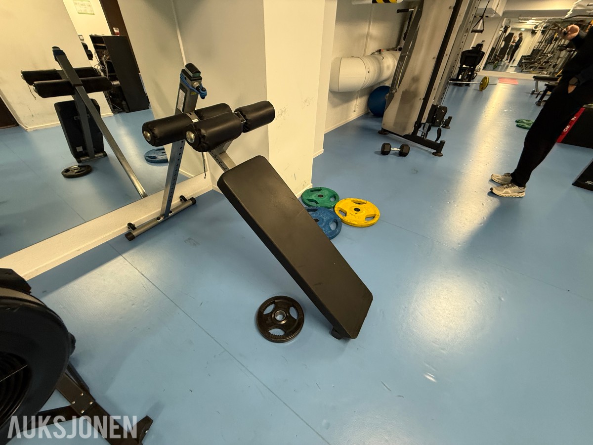 Body-Solid situp-/magbenk – profesjonell kvalitet