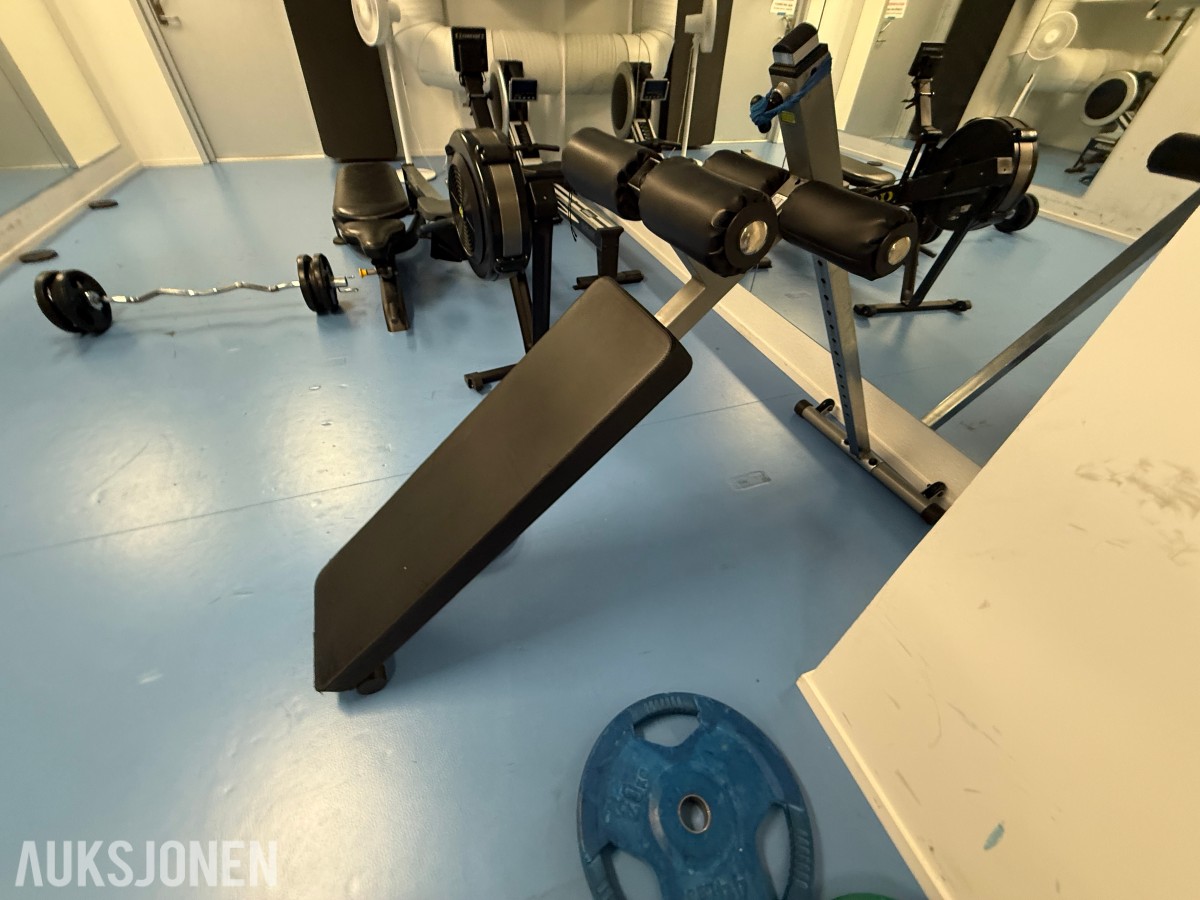 Body-Solid situp-/magbenk – profesjonell kvalitet