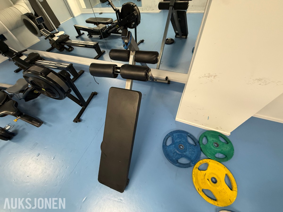 Body-Solid situp-/magbenk – profesjonell kvalitet