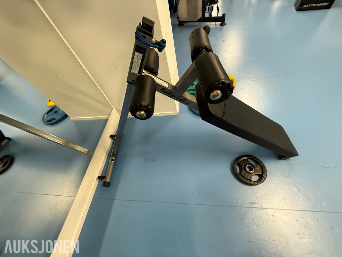 Body-Solid situp-/magbenk – profesjonell kvalitet