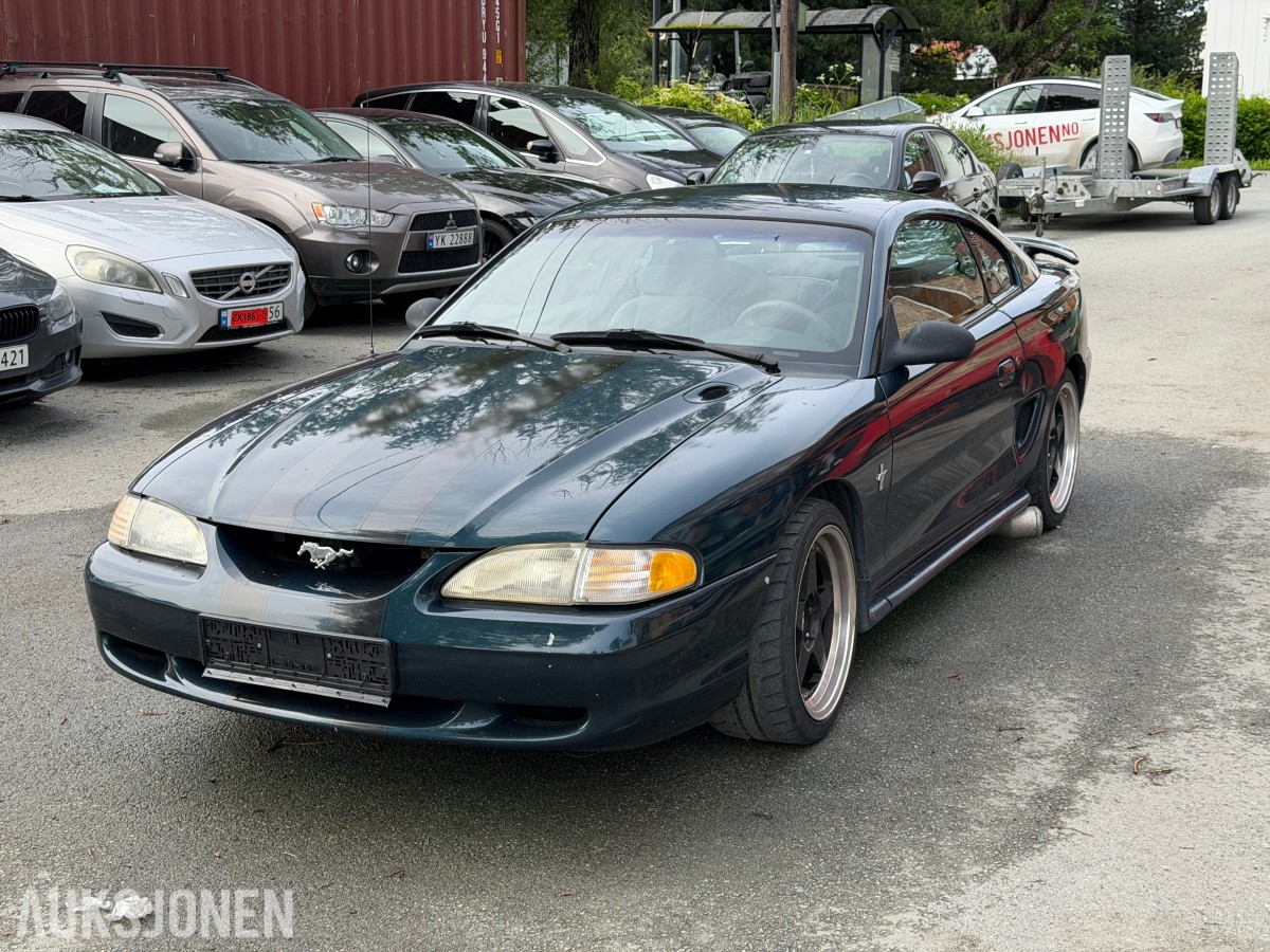Mustang