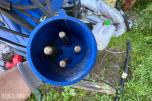 Nilfisk Alto Neptune 5 varmtvannsvasker