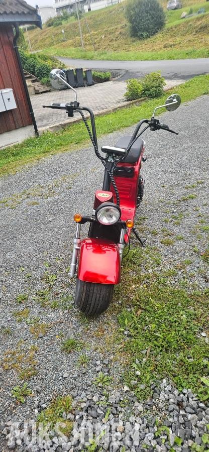 2022 3PLUSCOCO Electric Scooter