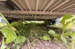 2018 IFOR WILLIAMS hestehenger m/ Plass til 4 hester 